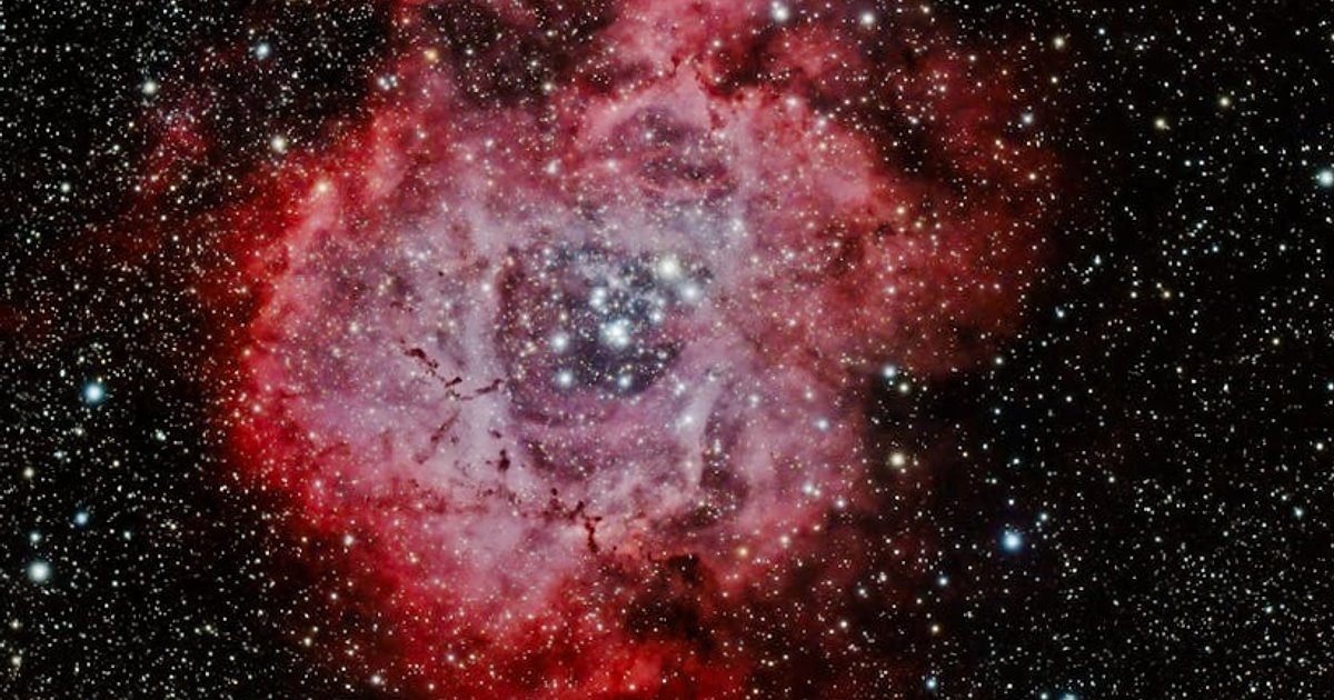 ChatGPT Pro Lite w 2026 roku: dla kogo nowy plan subskrypcji naprawdę się opłaca?