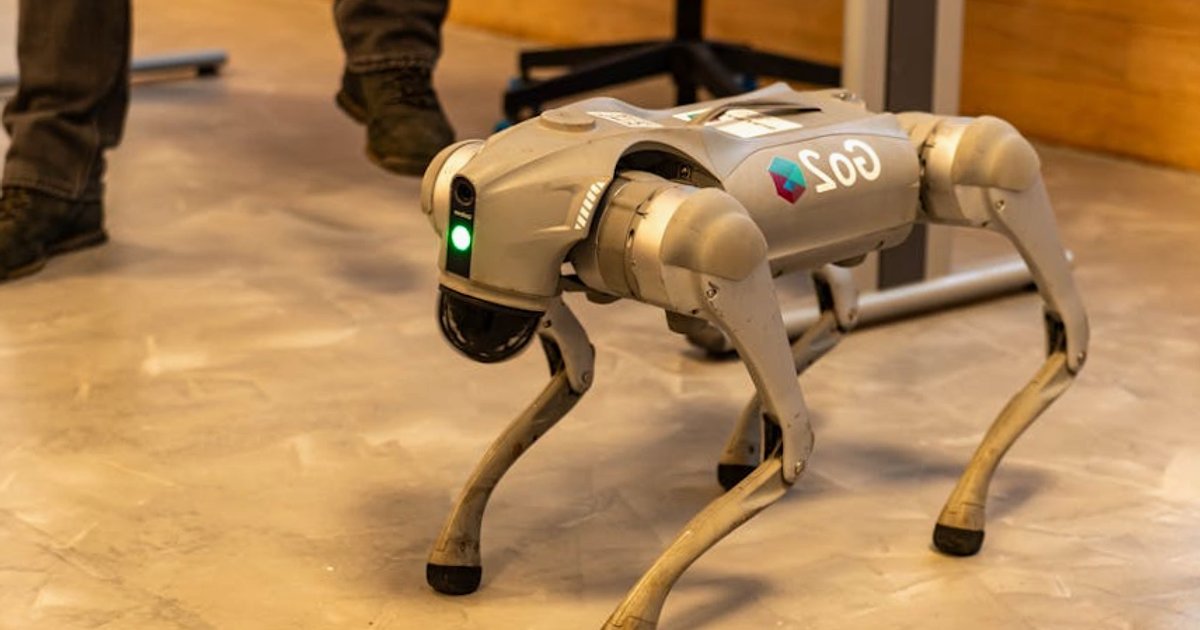 ChatGPT z reklamami: czy darmowy dostęp przetrwa erę pełnej komercjalizacji?