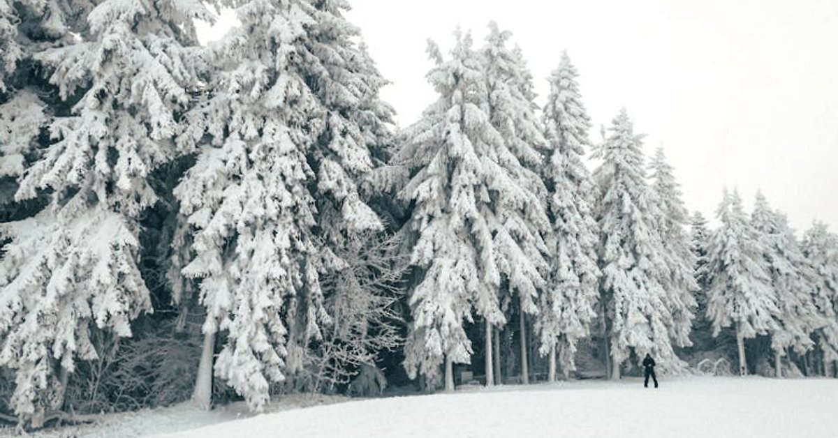 KSeF bez kar w 2026? Jakie sankcje nadal grożą za błędy w e-fakturowaniu i JPK_VAT