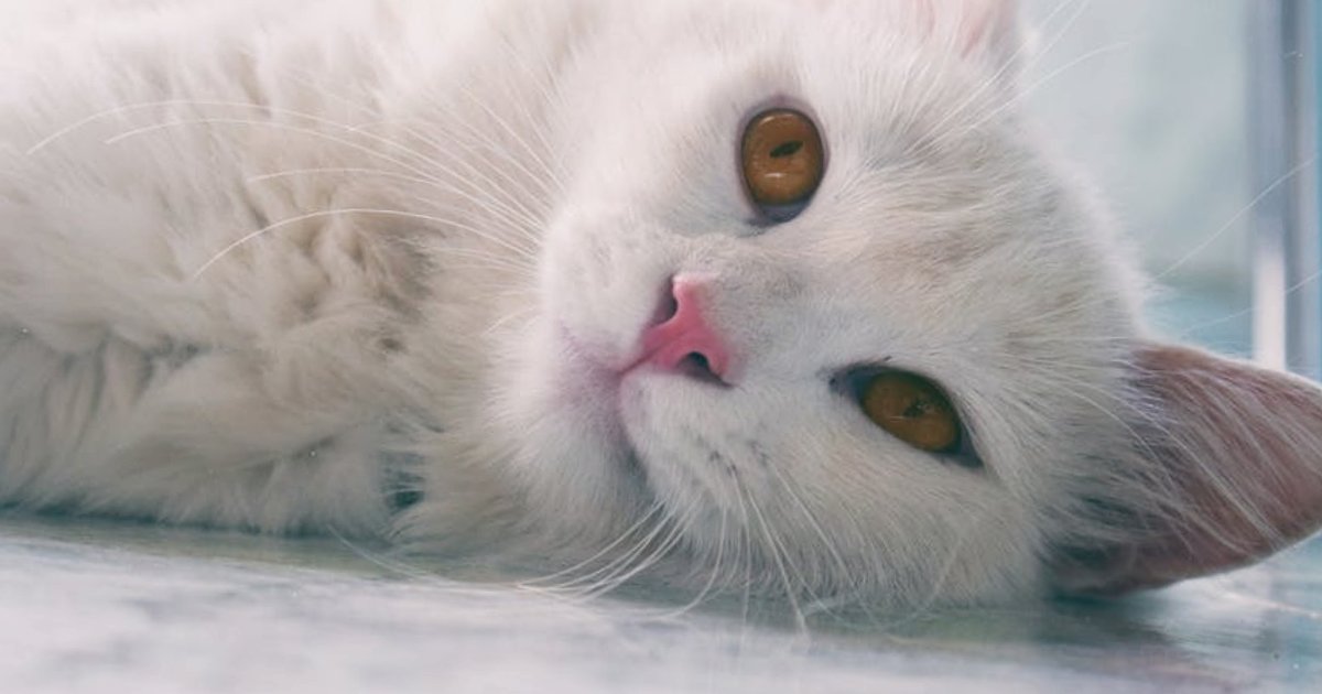 LLM w 2026 roku: praktyczny przewodnik po nowej infrastrukturze AI dla biznesu