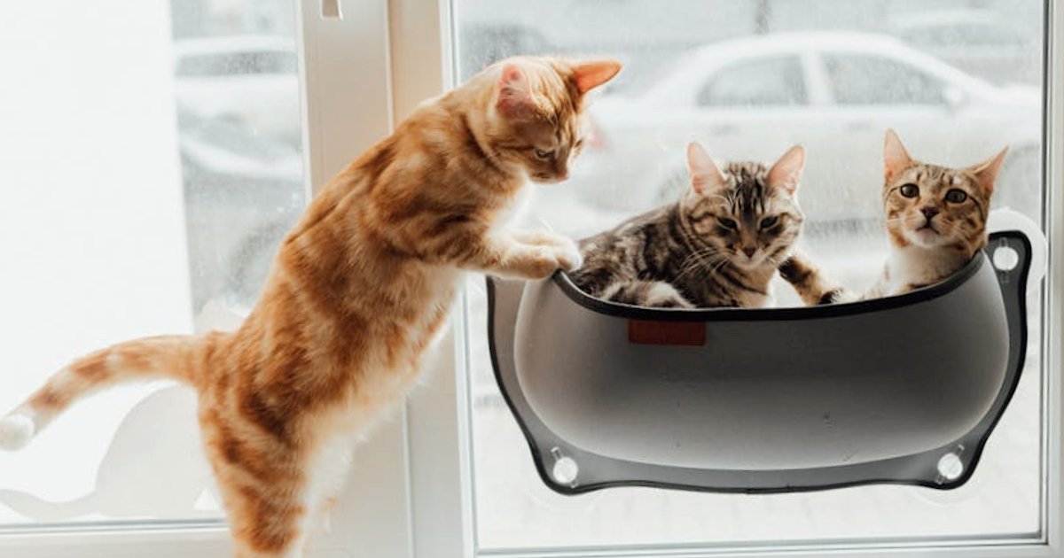 Mixture-of-Experts LLMs Explained: How Sparse Architectures Make AI Faster, Cheaper and More Capable