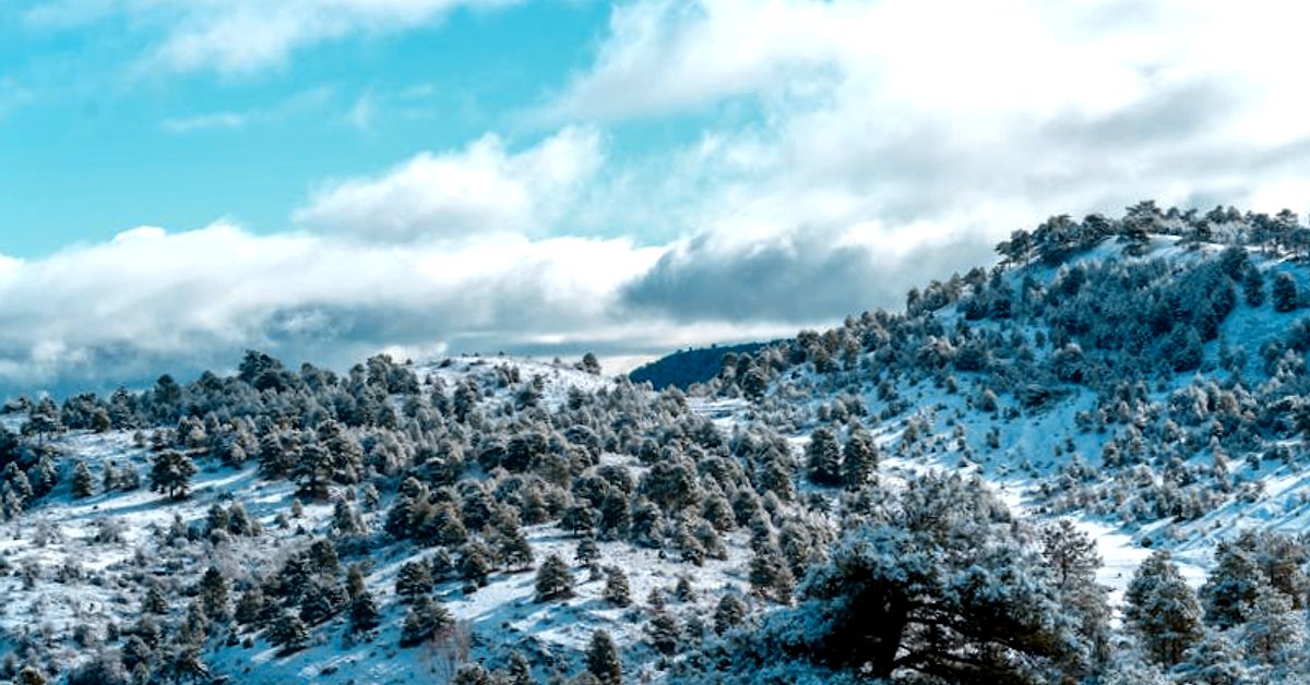 Mrozy a zamknięte szkoły: jakie prawa mają rodzice, dyrektorzy i samorządy?