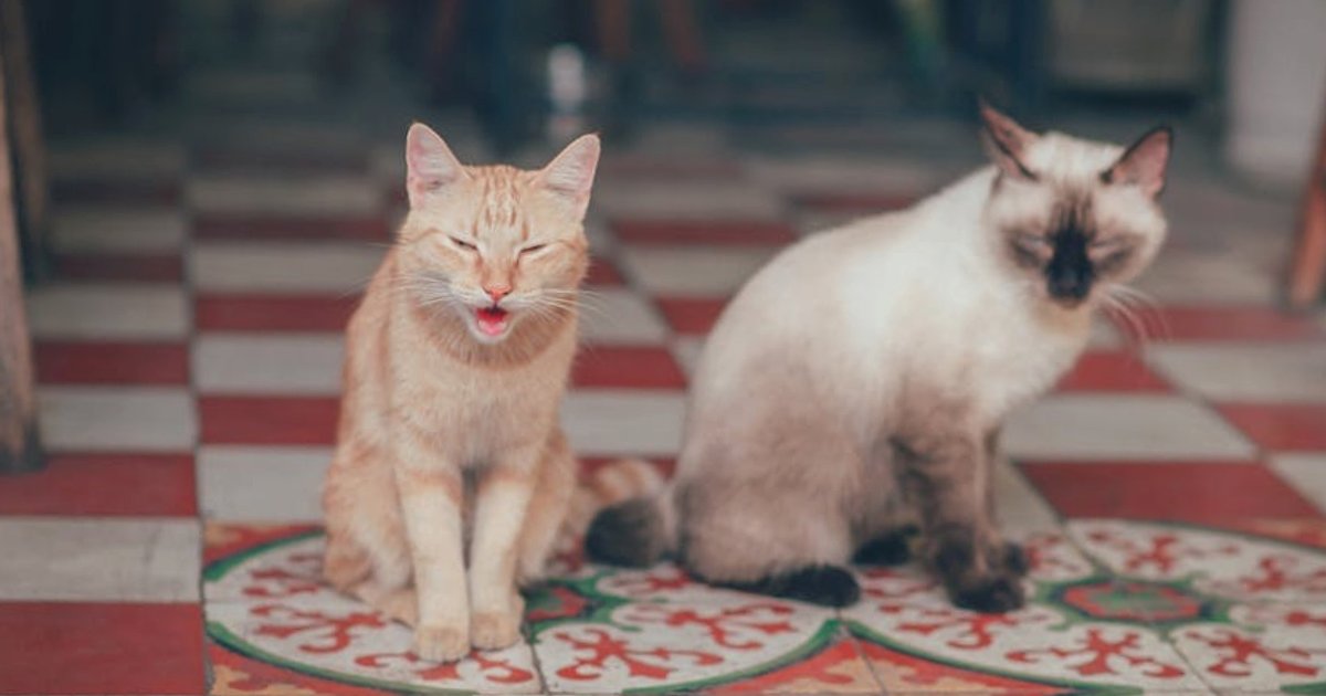 Programowanie z LLM w 2026 roku: realistyczne możliwości i bezpieczne workflowy dla developerów