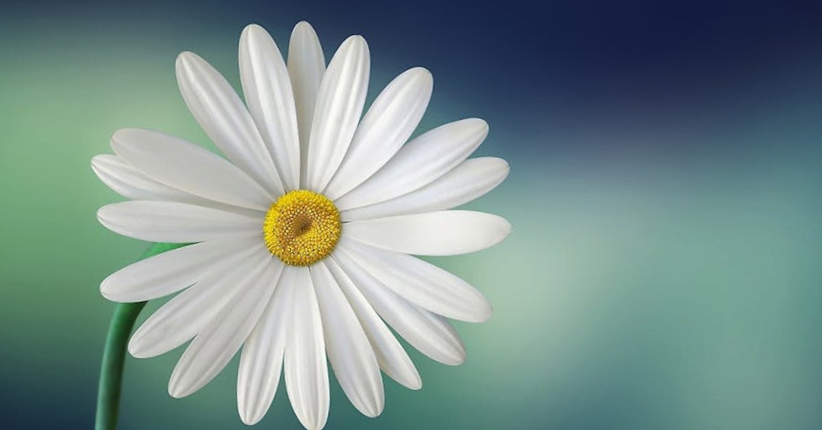 Reklamy w ChatGPT a „czyste” AI Claude: dwie wizje monetyzacji i zaufania na rynku generatywnej sztucznej inteligencji