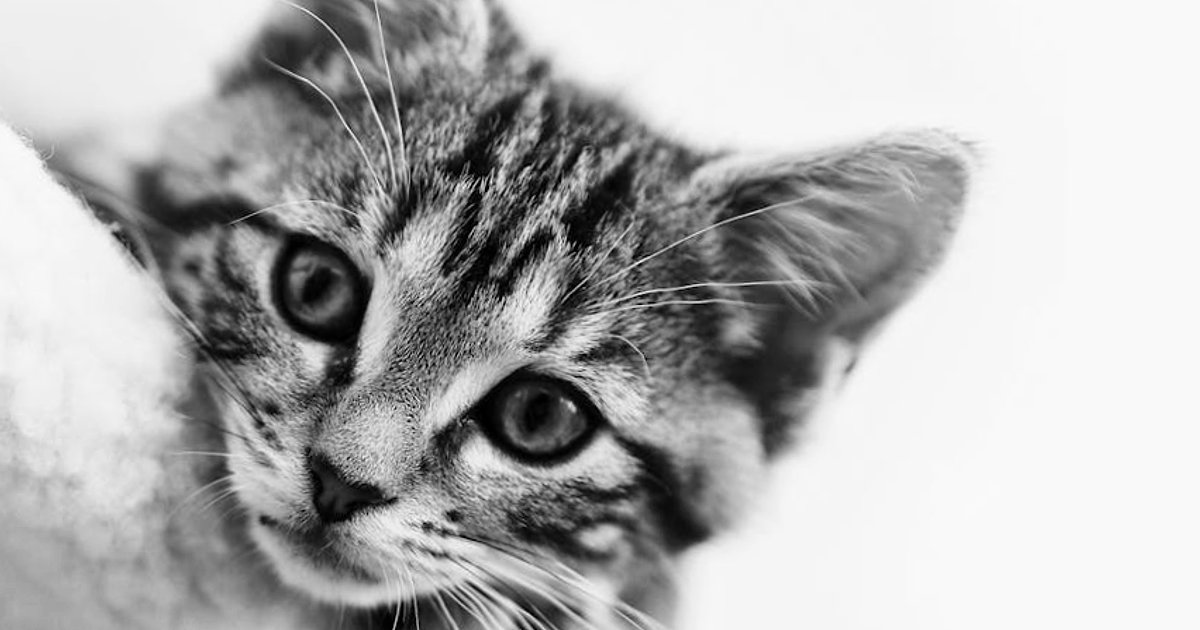 Środy z KSeF: jak w 100% wykorzystać bezpłatne szkolenia Ministerstwa Finansów