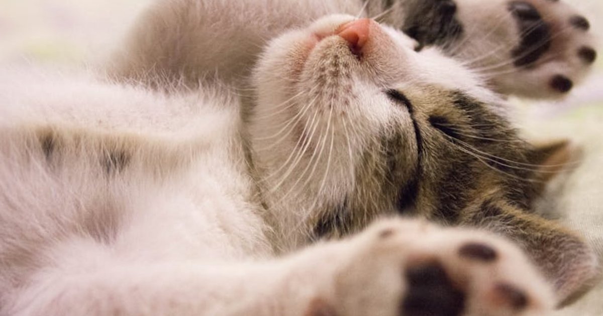 SEO w erze AI: jak łączyć pozycjonowanie, automatyzację i brand mentions, aby wygrywać z konkurencją