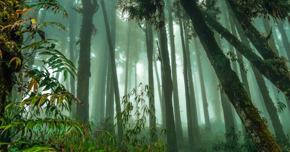 24 000 fałszywych kont kontra Claude: jak wojna o dane zmienia świat sztucznej inteligencji