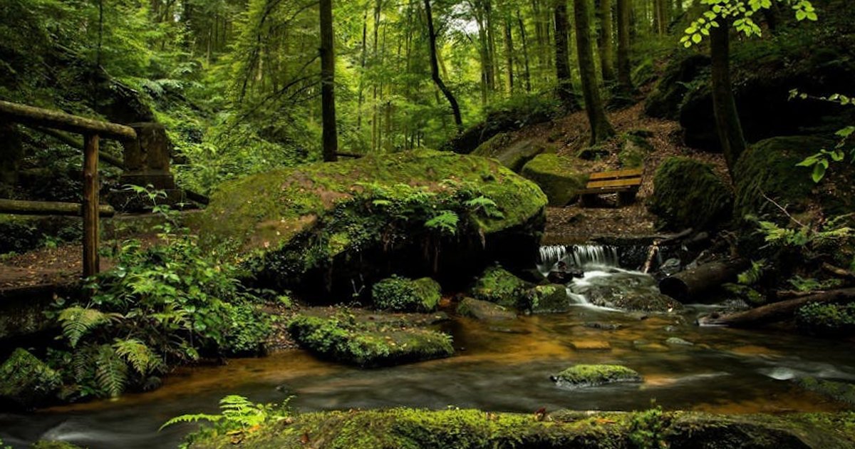 Anthropic kontra Trump: jak firma od „bezpiecznej” AI stała się kluczowym graczem globalnego wyścigu technologicznego