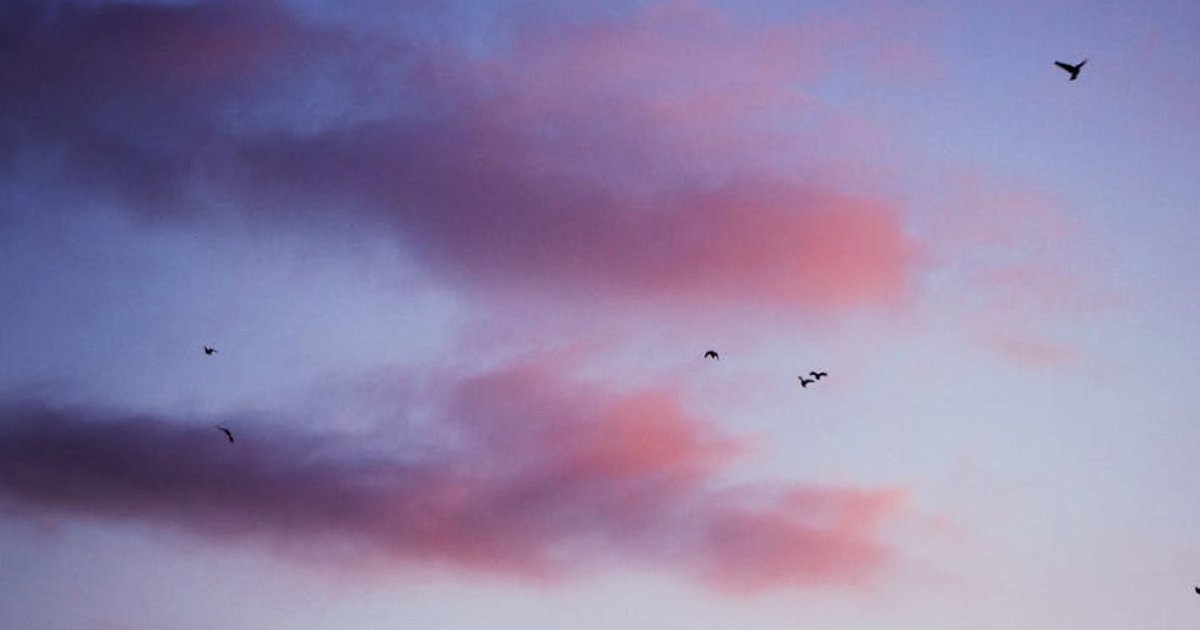 Awaria Claude AI i ryzyko uzależnienia od chmurowych asystentów: lekcja dla biznesu i freelancerów