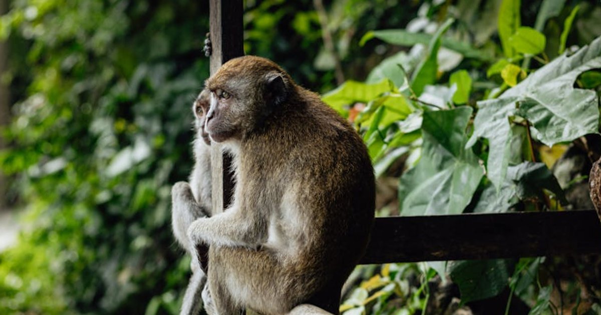 Bezpieczne wakacje w Azji w 2026 roku: czego uczą nas doświadczenia Polaków uwięzionych w Bangkoku