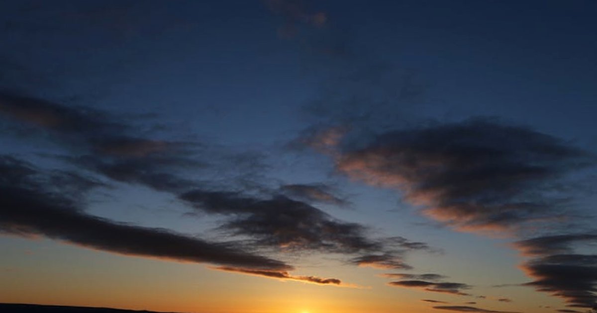 Claude a rynek pracy: jak narzędzie Anthropic zmienia ocenę ryzyka automatyzacji zawodów