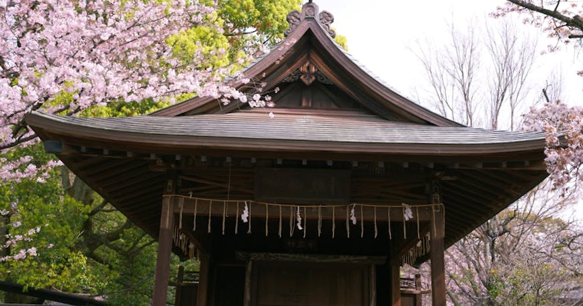 Co spakować do Japonii w 2026 roku? Aktualny przewodnik pod drogie loty i tani jen