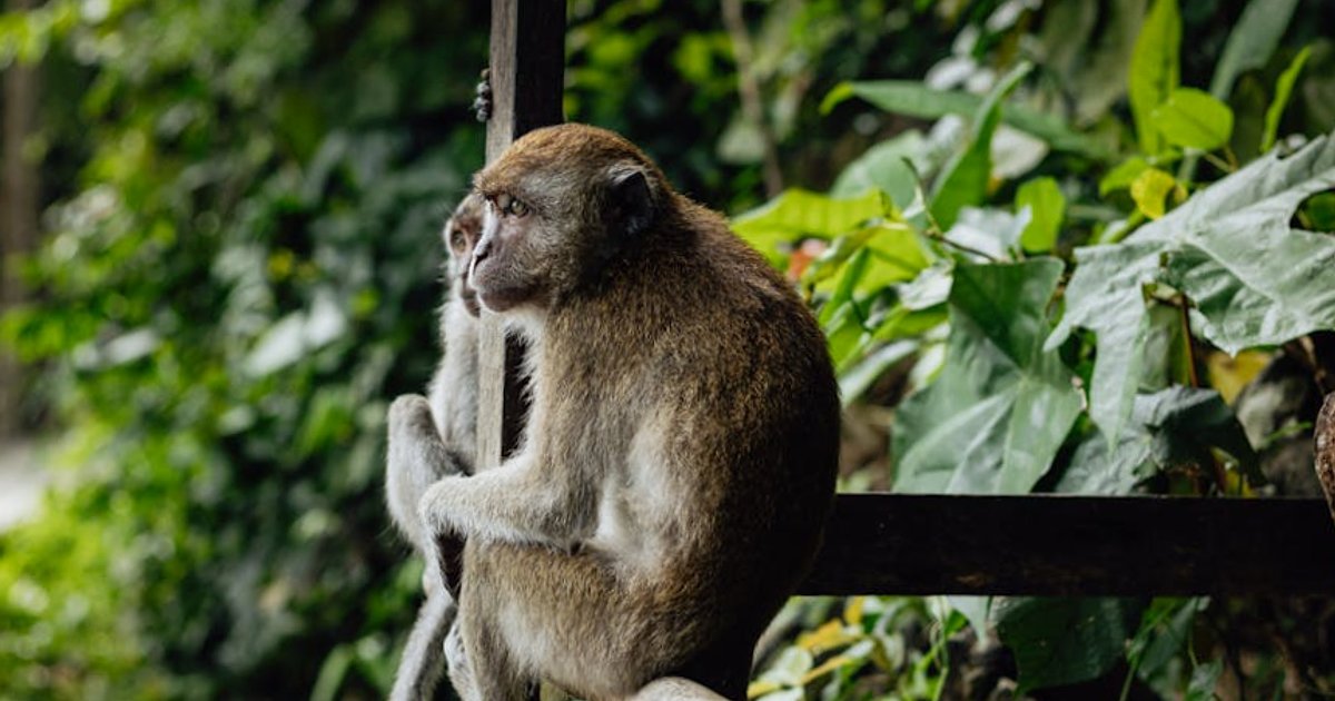 Co spakować do Tajlandii w 2026 roku? Aktualna lista dla Polaków pod nowe przepisy i drogie loty