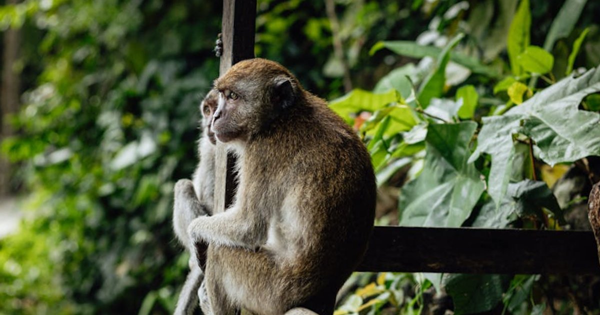 Co spakować do Tajlandii w maju? Praktyczna lista na porę deszczową i tropikalny upał