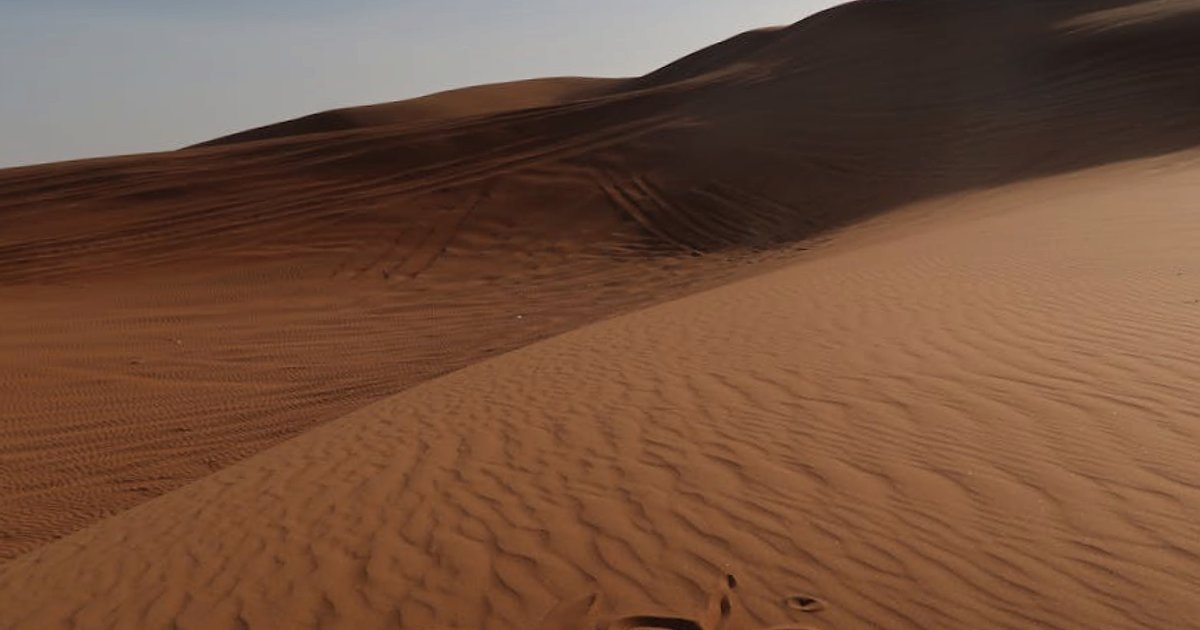 Dlaczego Nvidia dystansuje się od OpenAI i Anthropic? Strategiczny zwrot w dojrzałym rynku generatywnej AI