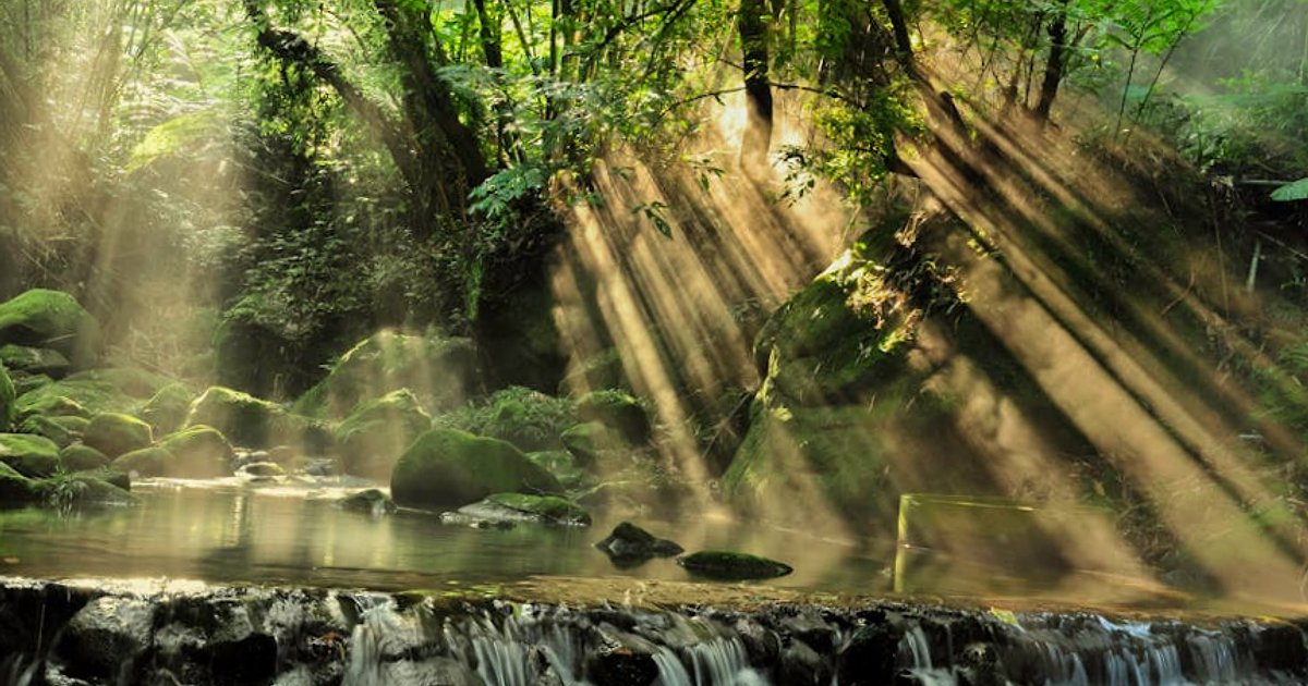 Eksport pamięci z ChatGPT do Claude: jak nowe narzędzie Anthropic zmienia zasady gry dla firm