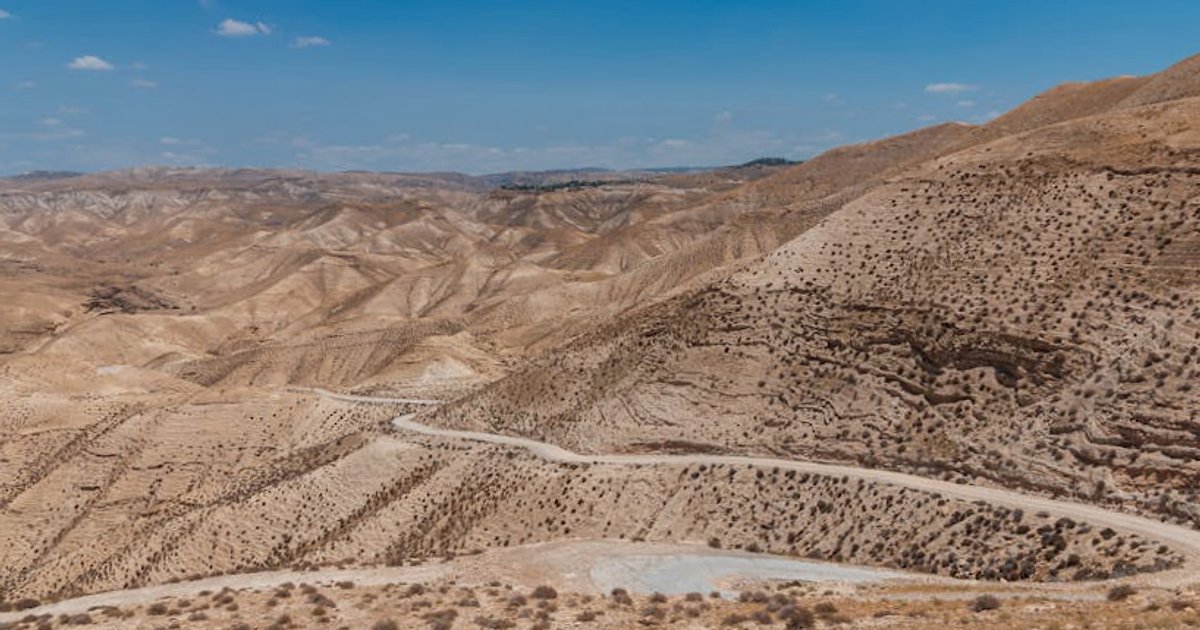 Granice bojowego AI: jak spór Anthropic–Pentagon przyspiesza globalną debatę o wojnie algorytmów