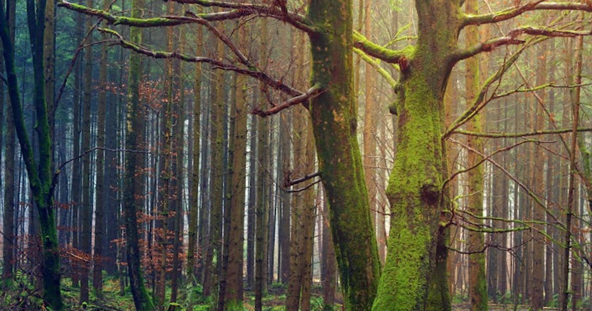 Inflacja producentów w USA studzi Wall Street: co dalej z hossą na spółkach AI?