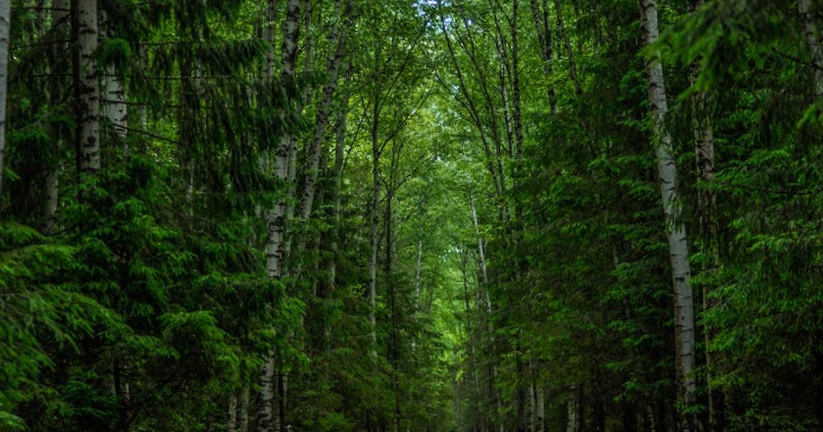 Logistyka w Polsce 2026: najlepiej opłacane zawody, realne stawki i kompetencje przyszłości