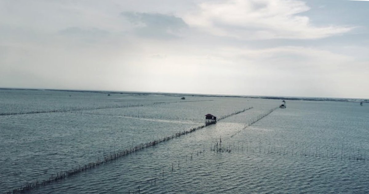 Maj w Tajlandii a bezpieczeństwo zdrowotne: upał, deszcz i komary w praktyce