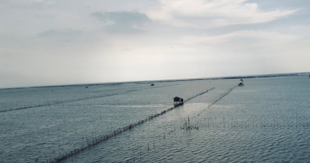 Maj w Tajlandii: pogoda, realne doświadczenia podróżników i praktyczne przygotowanie