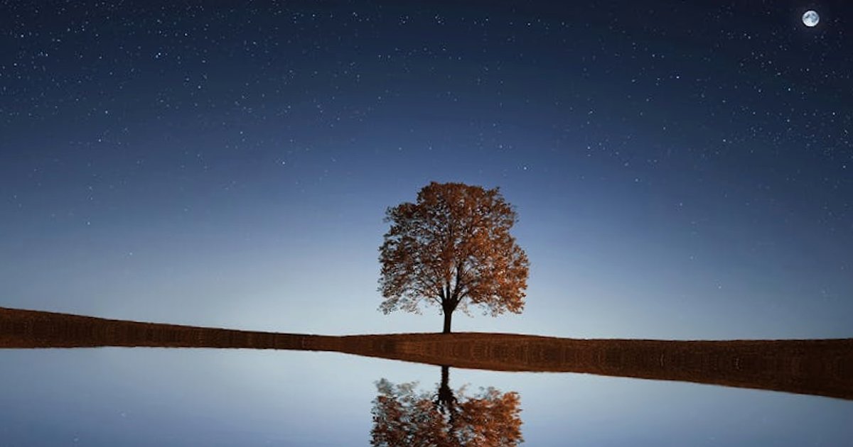 Masowy bojkot ChatGPT: dlaczego użytkownicy i firmy przenoszą się do Claude