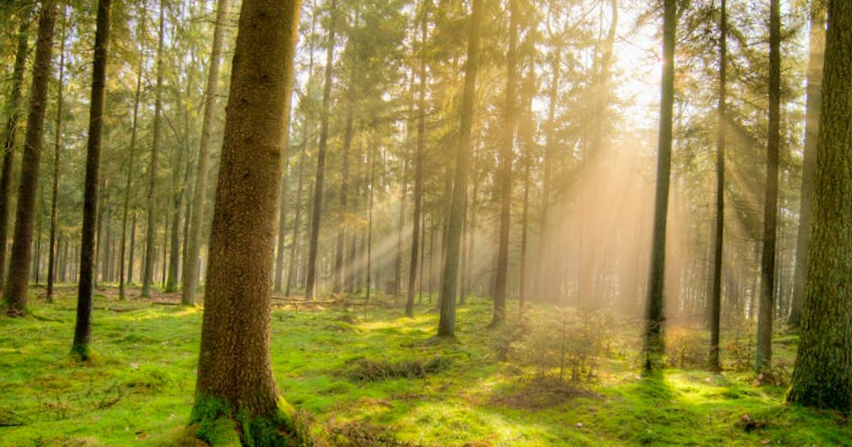 Śmierć Chameneiego i wojna rakietowo‑dronowa: jak eskalacja USA–Izrael–Iran uderza w rynki i gospodarkę Europy