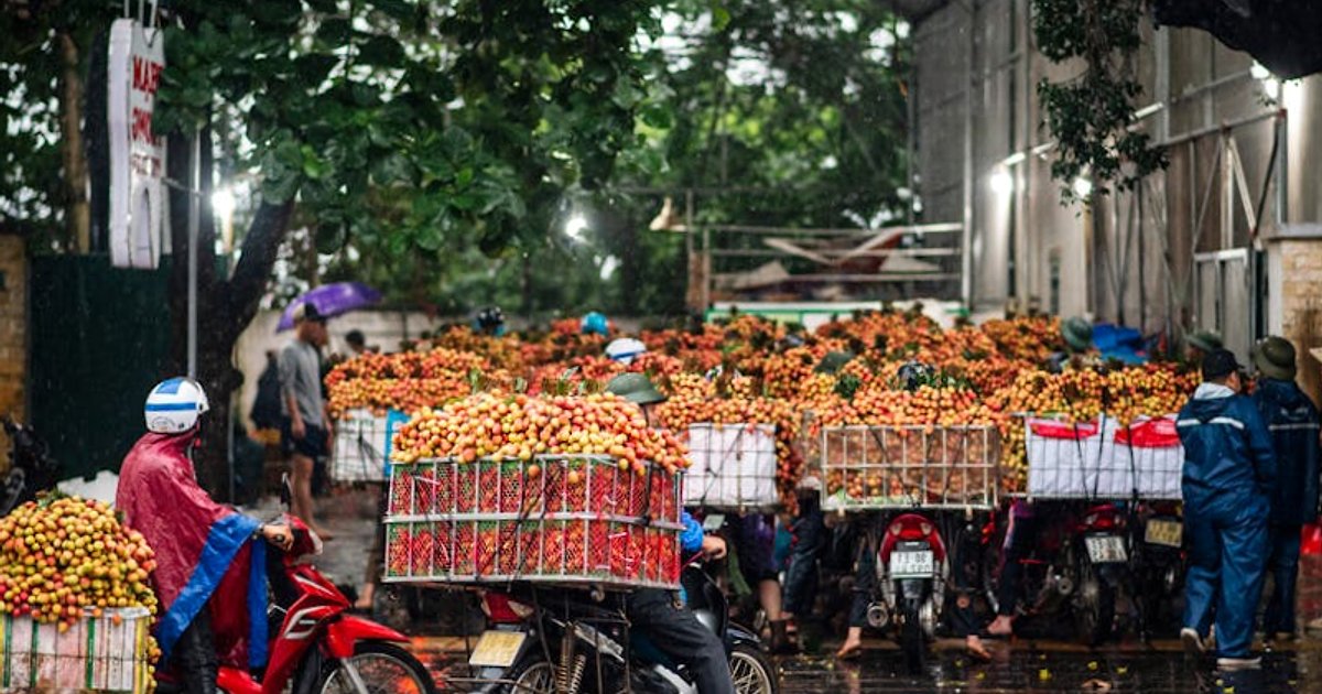 Nagłe ochłodzenie w północnym Wietnamie: co oznacza front z 9 marca 2026 dla Hanoi i Zatoki Ha Long