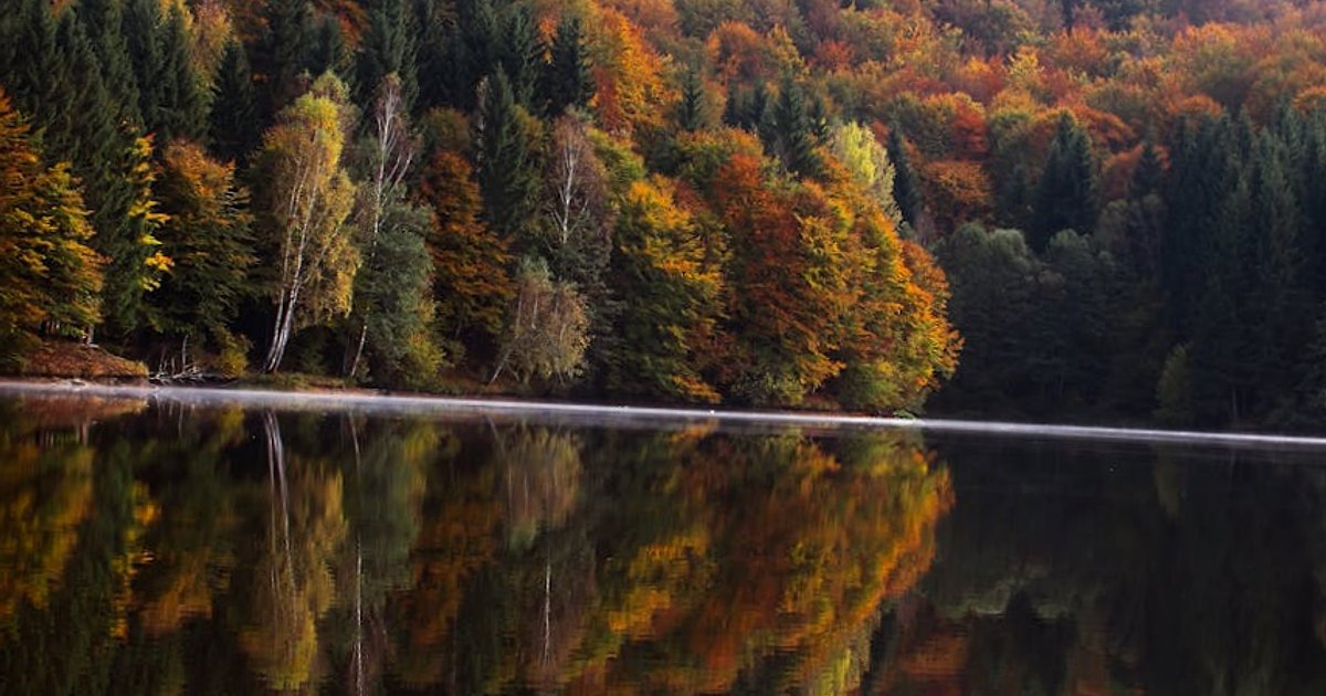 Napięcia USA–Iran a wizyta Donalda Trumpa w Chinach: geopolityka, rynki i rola sztucznej inteligencji