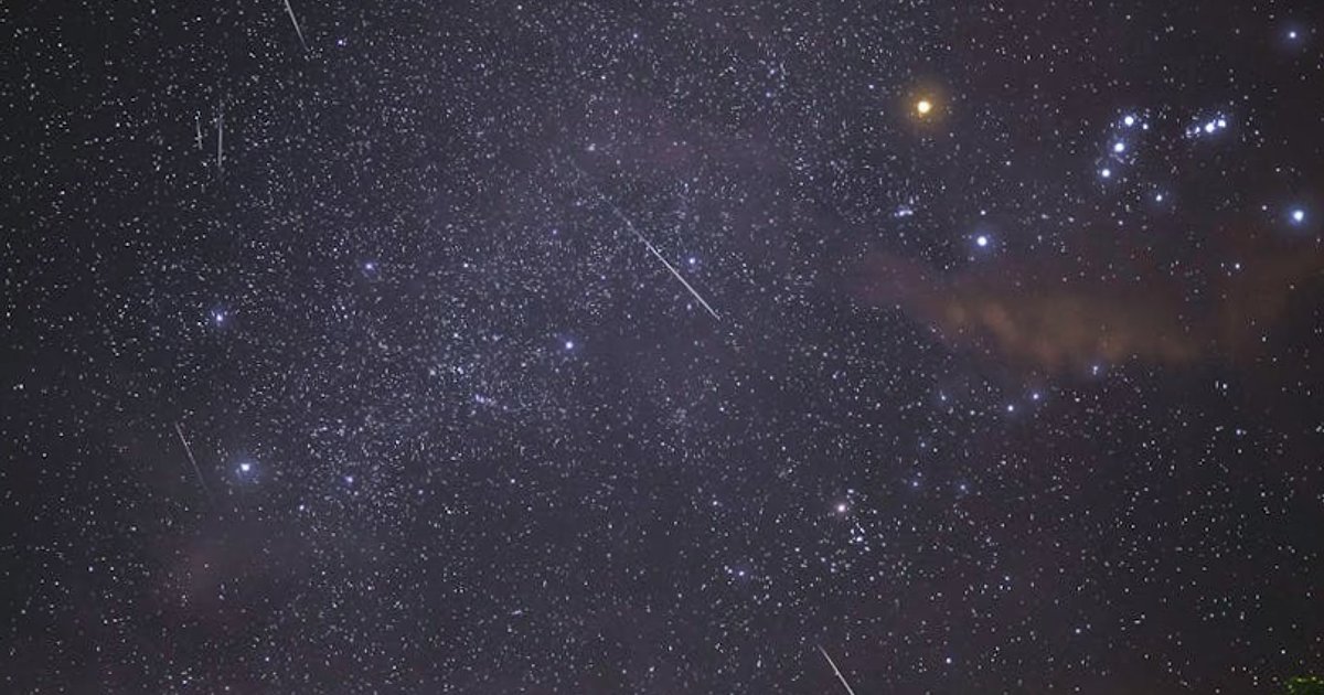 Nastolatki kochają AI: jak OpenAI i Anthropic zmieniają nawyki młodych użytkowników