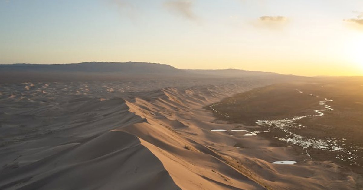 Nowe prawo a sztuczna inteligencja: kto odpowie za szkody w erze zautomatyzowanych decydentów?