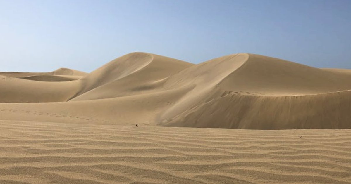 OpenAI, Anthropic i NATO: jak Zachód militarizuje sztuczną inteligencję