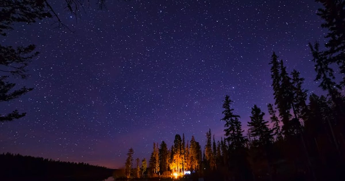 Palantir kontra Anthropic: jak wojskowa AI przebudowuje wyceny spółek technologicznych