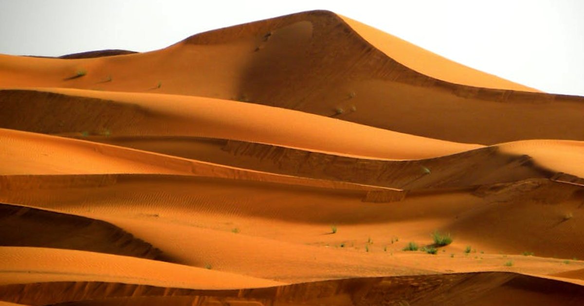 Palantir vs Anthropic: jak spór o guardrails w Pentagonie przebudowuje rynek militarnej AI