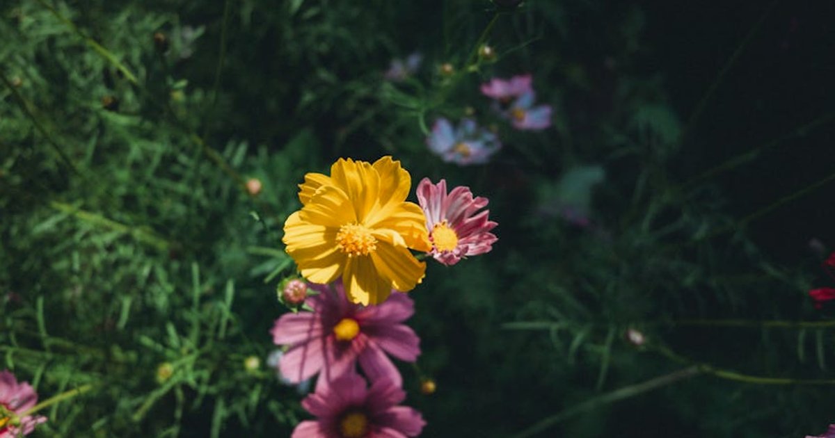 Papież kontra chatboty: jak Watykan ostrzega przed iluzją relacji z AI
