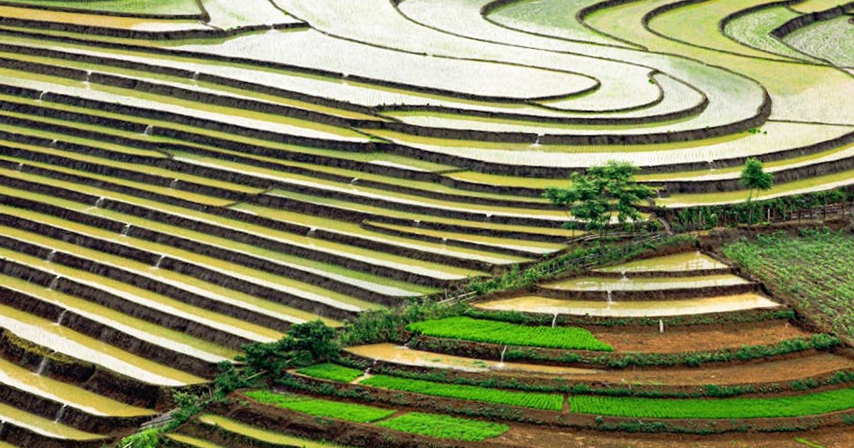 Pogoda w Wietnamie w maju 2026: szczegółowy przewodnik dla podróżnych z Polski