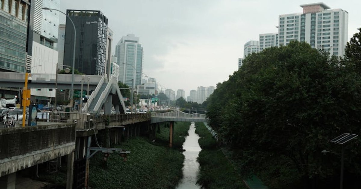 Programista w Korei Południowej: ile naprawdę zarobisz w IT i co zje z tego Seul