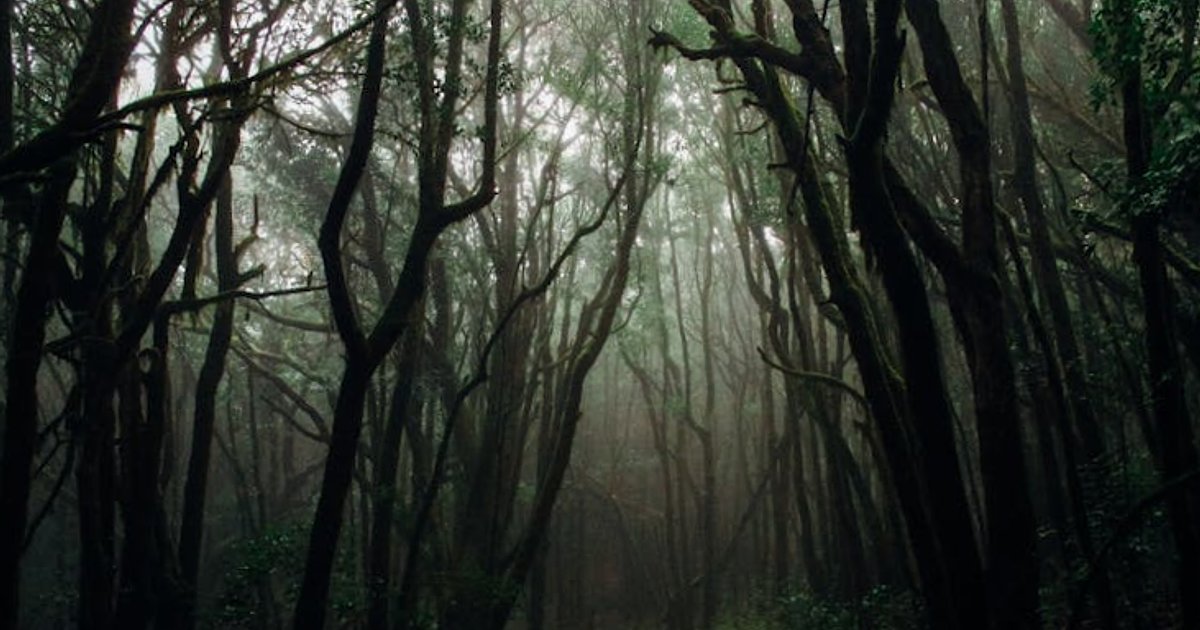 Ropa po 60 czy 150 USD? Cztery scenariusze dla gospodarki i portfeli Polaków