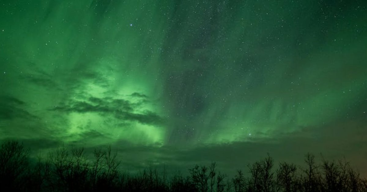 Rynek pracy a AI w 2026 roku: co naprawdę wynika z raportu Anthropic