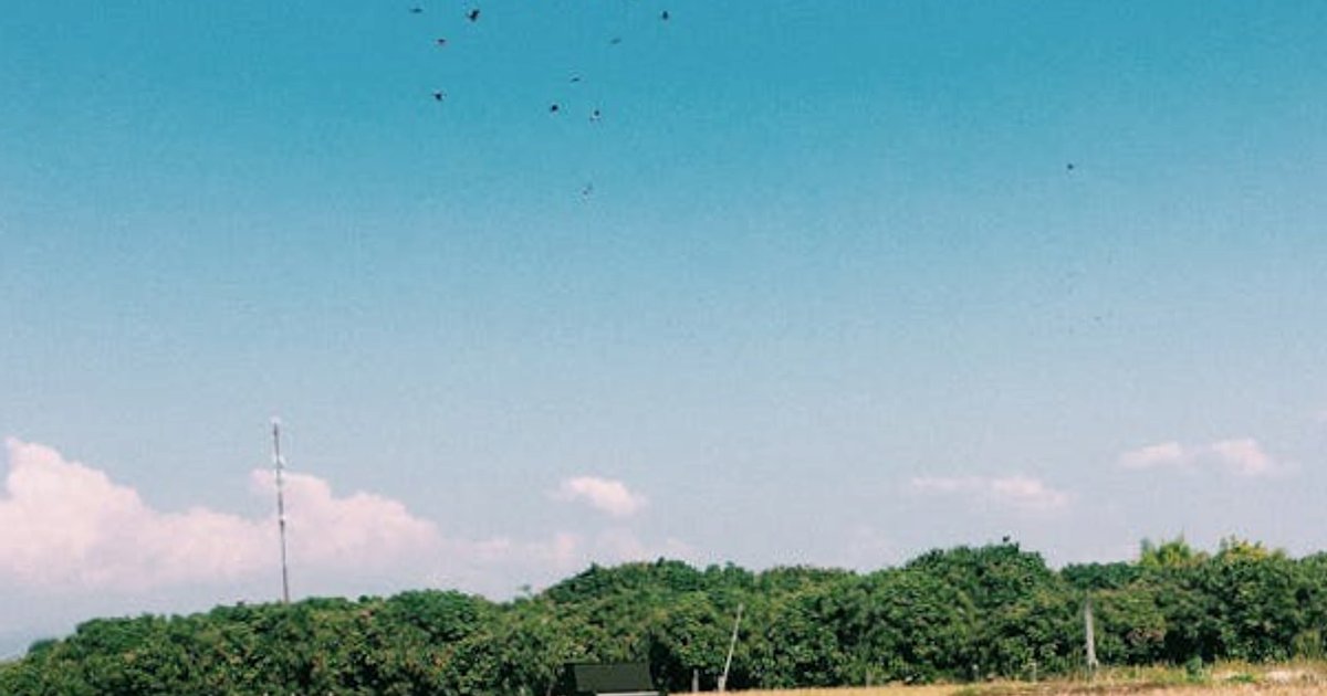 Rynek używanych aut elektrycznych w Azji: czego uczy przypadek Tajlandii