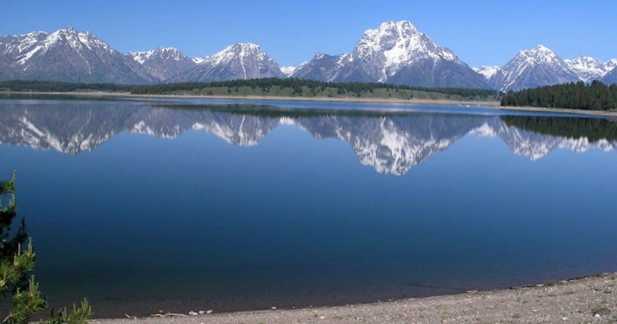 Setki firm technologicznych bronią Anthropic: jak konflikt z Pentagonem zmienia zasady gry w wojskowej AI