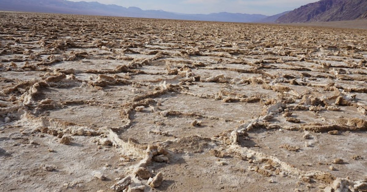 Superbloom 2026 w Dolinie Śmierci: jak pustynia zamieniła się w złocisty dywan kwiatów