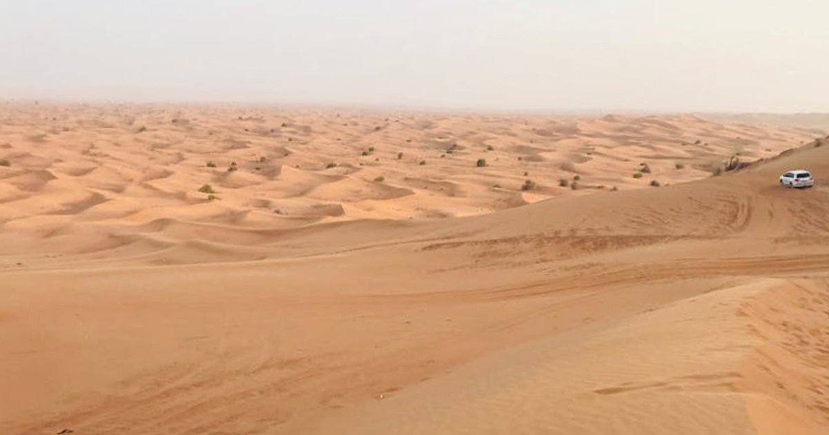 Szok gazowy 2026? Jak potencjalny skok cen gazu uderzy w polskie firmy i domowe budżety