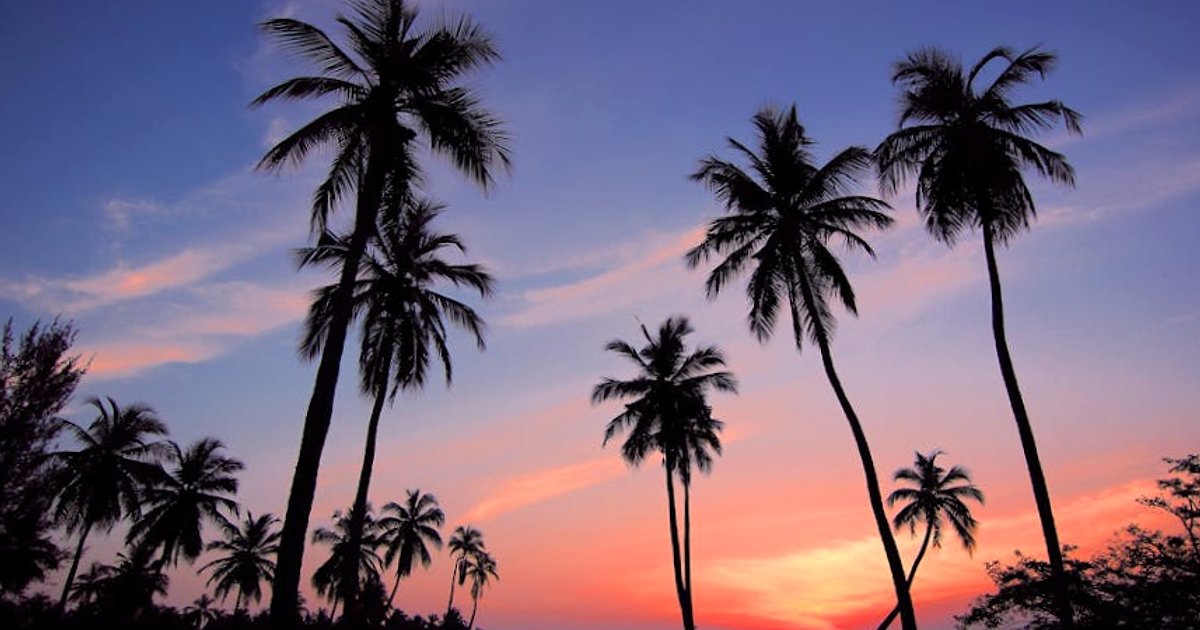 Tajlandia oszczędza energię: schody zamiast wind i praca zdalna jako narzędzia polityki energetycznej