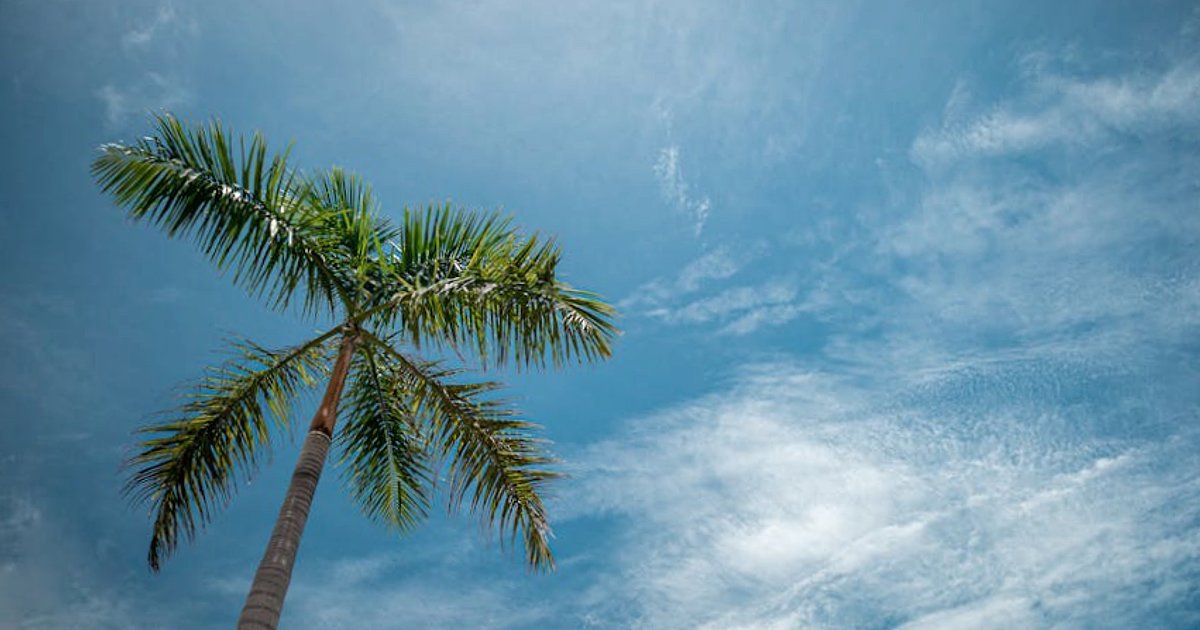 Tajlandia w porze deszczowej: co spakować na monsun, aby naprawdę cieszyć się wyjazdem