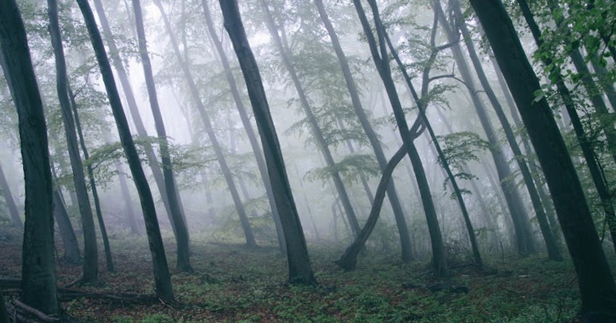 Trump odcina administrację USA od Anthropic. Co decyzja o „zagrożeniu dla łańcucha dostaw” oznacza dla rynku AI?