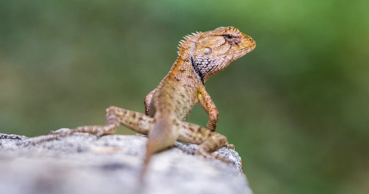 Wietnam i Tajlandia zacieśniają współpracę turystyczną: nowe możliwości dla polskich biur podróży i podróżnych