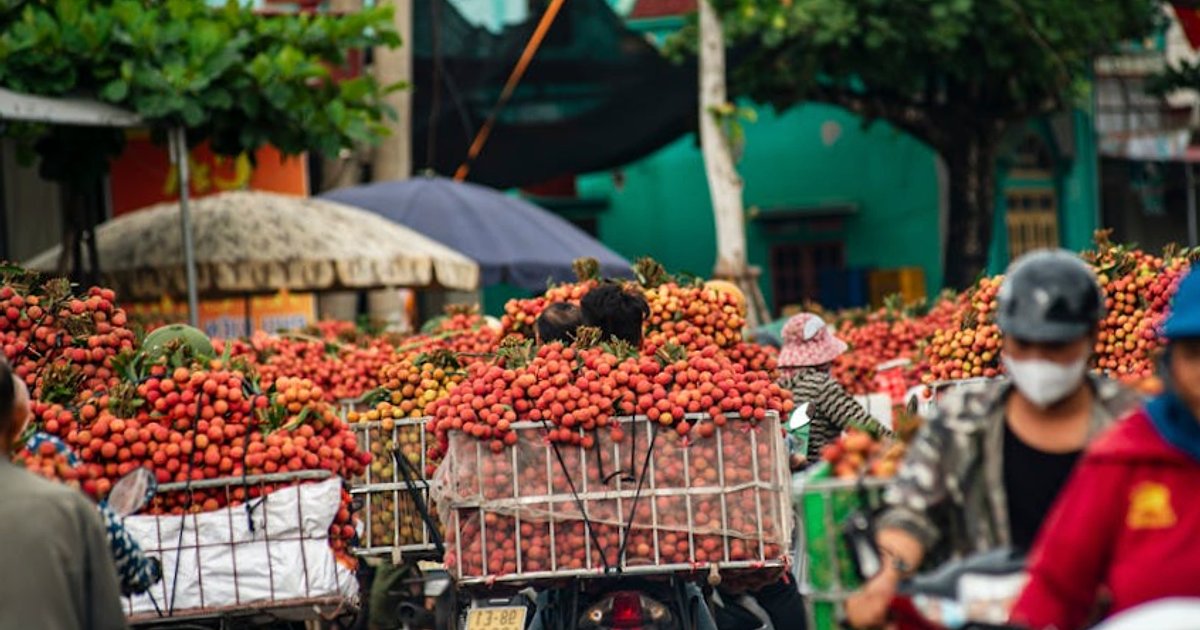 Wietnam jako nowy motor wzrostu Azji: gdzie kryją się największe szanse dla kapitału