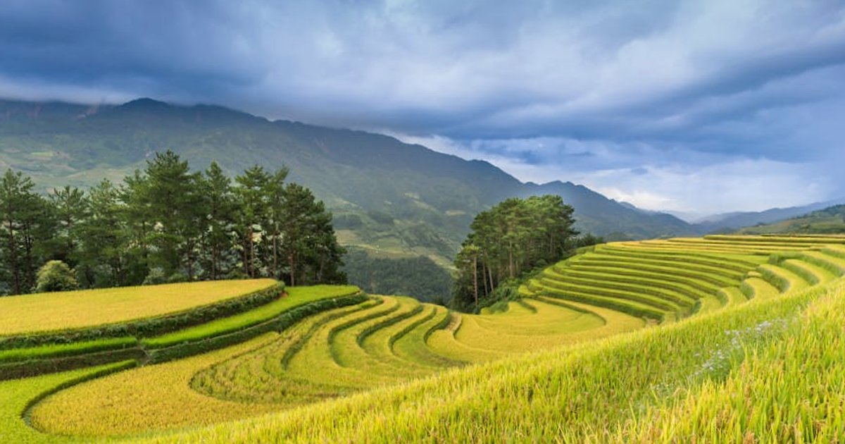 Wietnam północ czy południe w maju? Porównanie pogody, aktywności i kosztów podróży