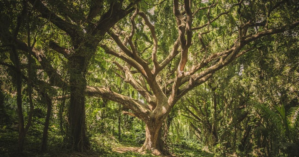 Wojna USA–Iran a ceny ropy i inflacja w Polsce: realne ryzyka i nasze bufory ochronne